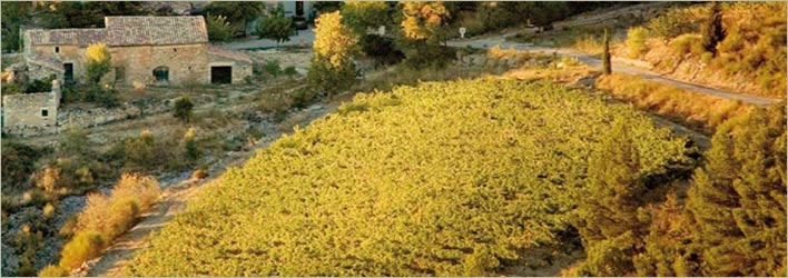 Le Domaine de Cantaussel - AOC Minervois La Livinière wines