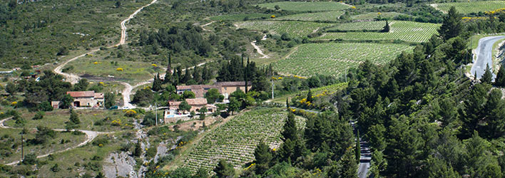 Domaine de Cantaussel en Minervois