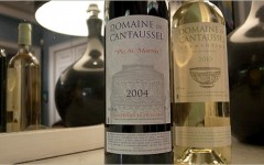 Article presse revue Terre de Vins : Cantaussel en Minervois