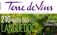 Article Terre des vins 03